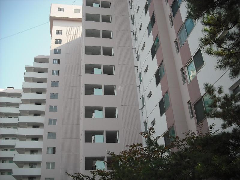 DSCF0276