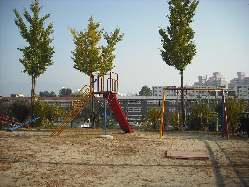 DSCF0381