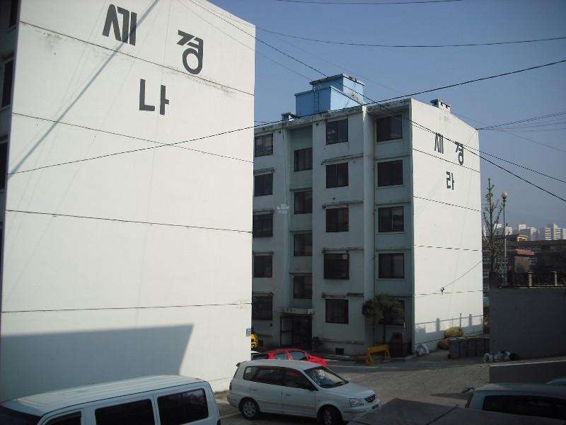 DSCF0385