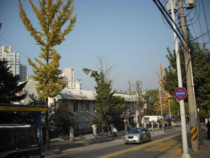 DSCF0387