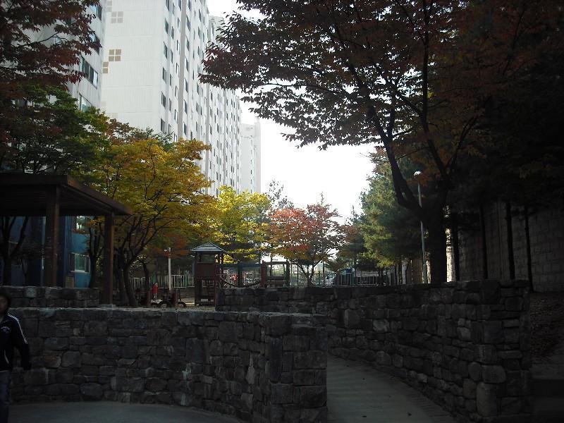 DSCF0142