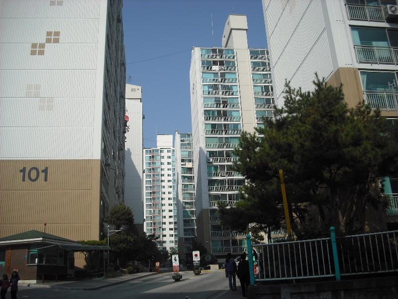 DSCF0117