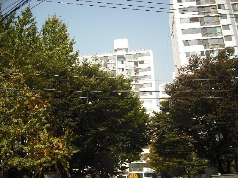 DSCF0025