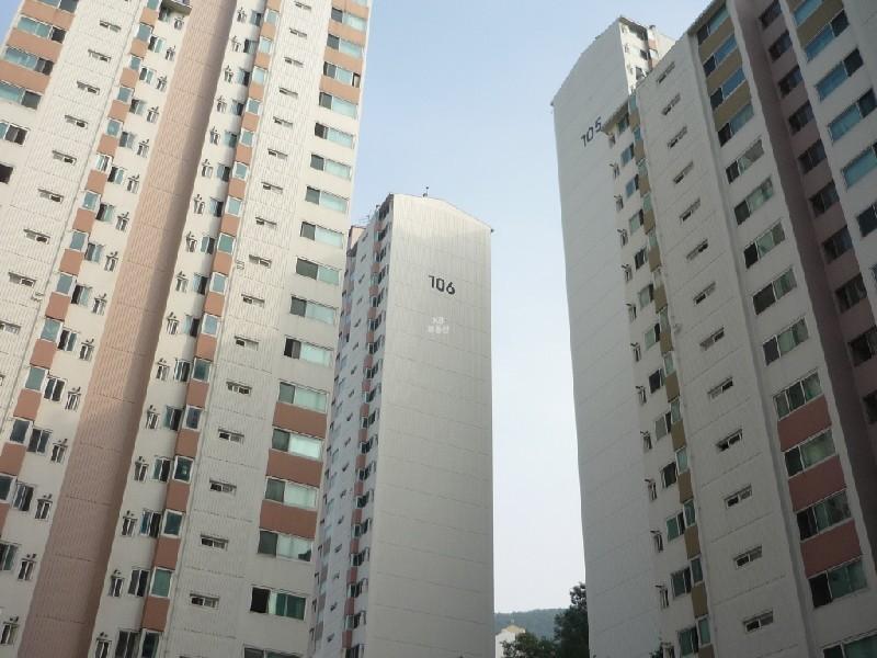 P1040629