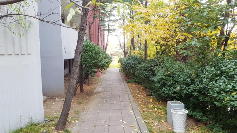식사 후 산책하기도 좋고, 반려견을 산책시킬때도 좋은 단지 내 산책로네요
