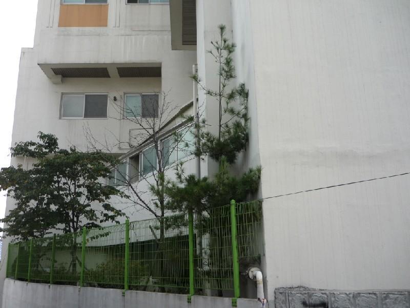 P1040469