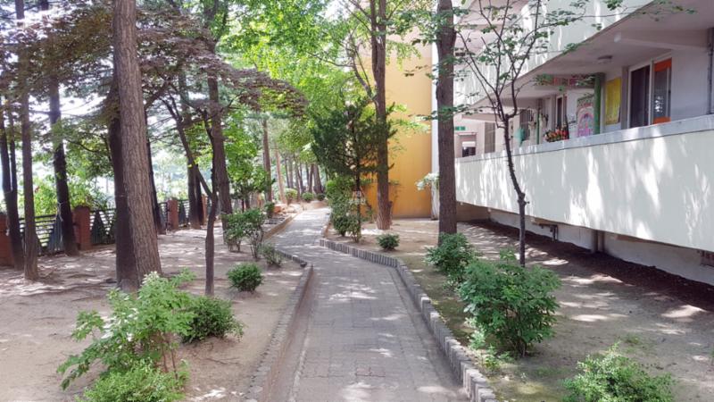 식사 후 산책하기도 좋고, 반려견을 산책시킬때도 좋은 단지 내 산책로네요