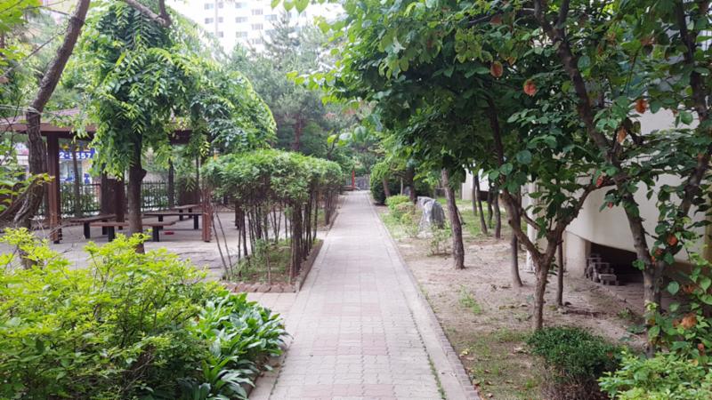 식사 후 산책하기도 좋고, 반려견을 산책시킬때도 좋은 단지 내 산책로네요