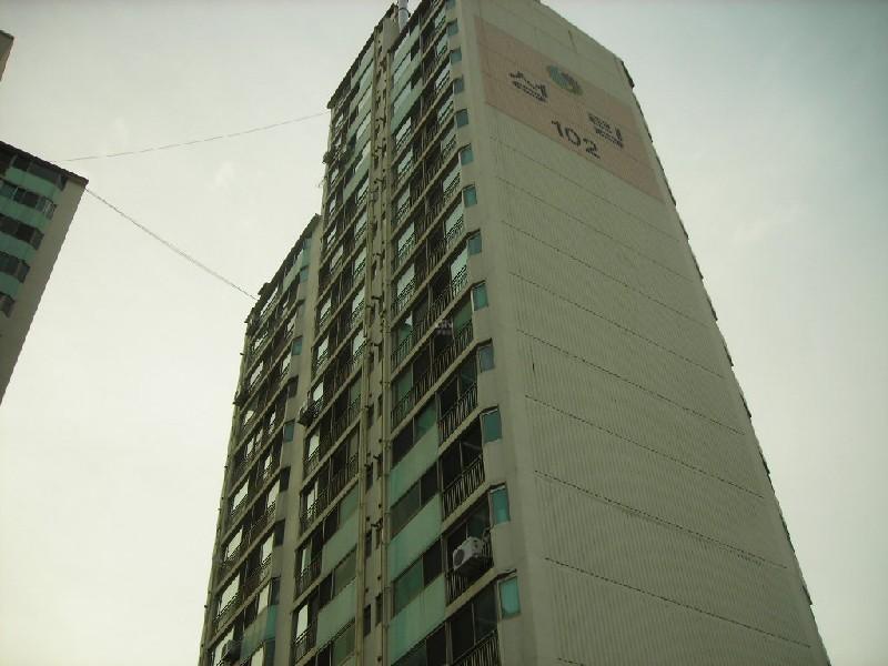 DSCN5478