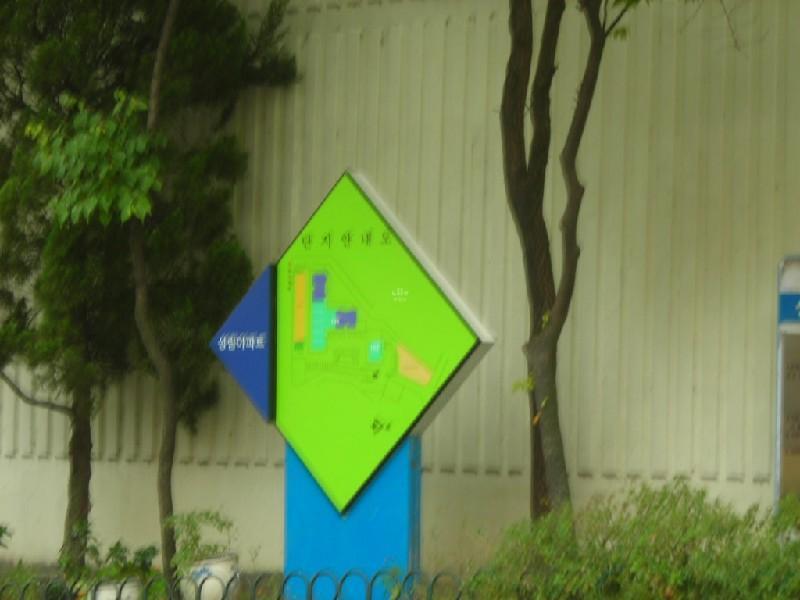 DSCN5481