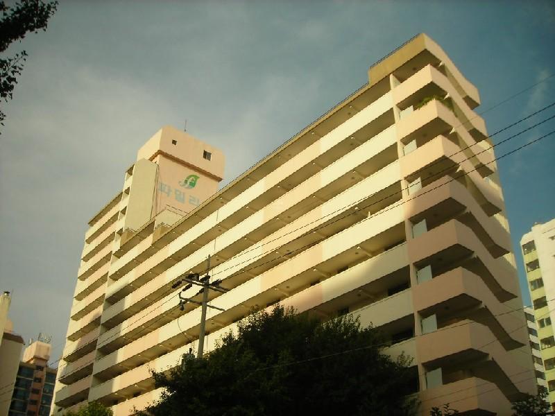 DSCN5456