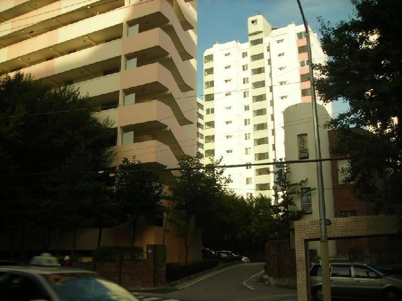 DSCN5454