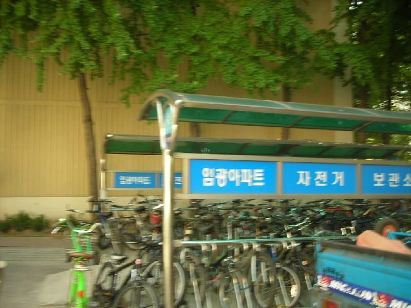 DSCN5432