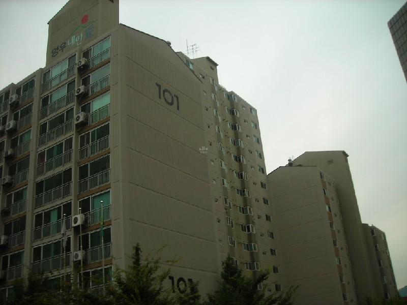 DSCN5549