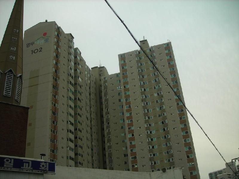 DSCN5551