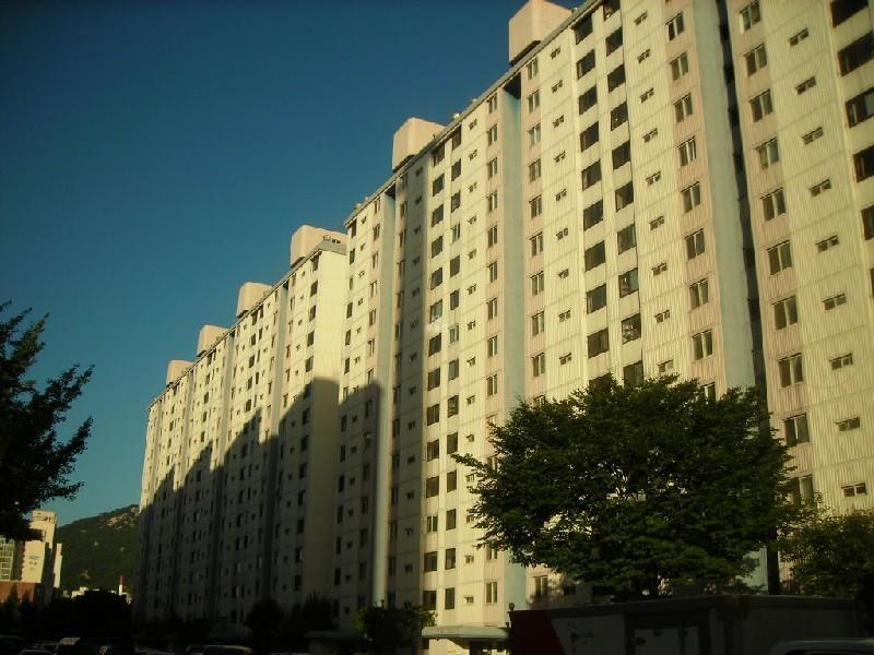 DSCN5146