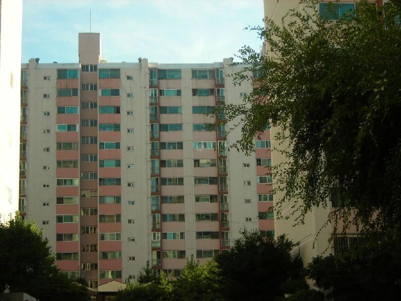 DSCN5123