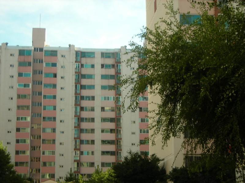 DSCN5124