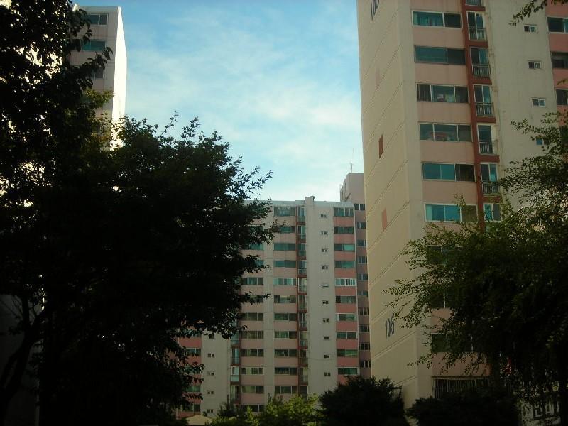 DSCN5128
