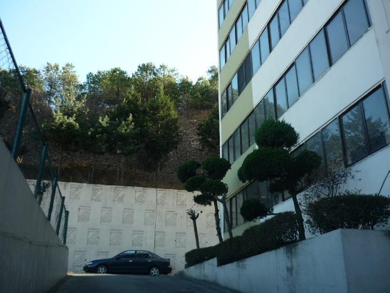 P1040229