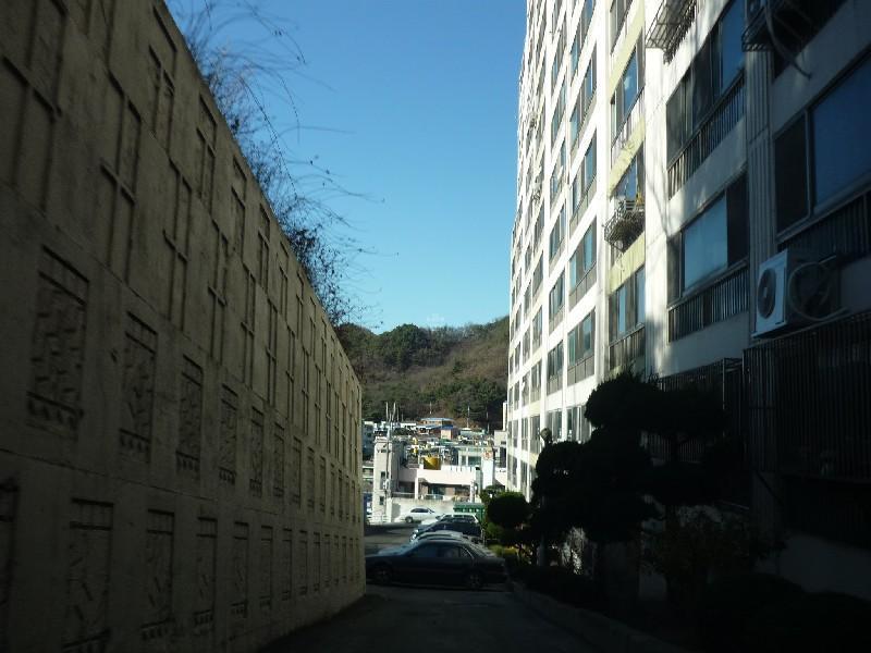 P1040231