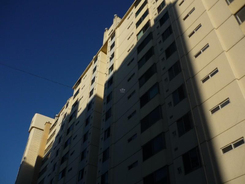 P1050197
