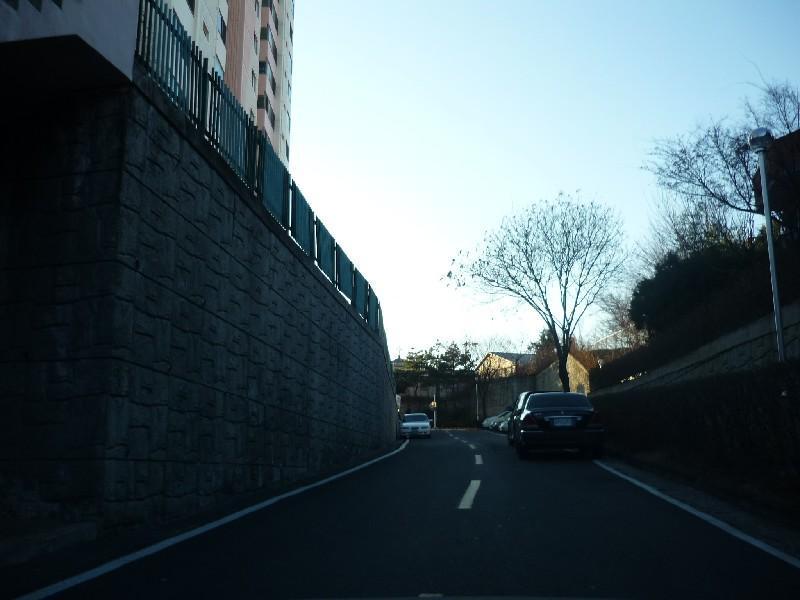 P1050353