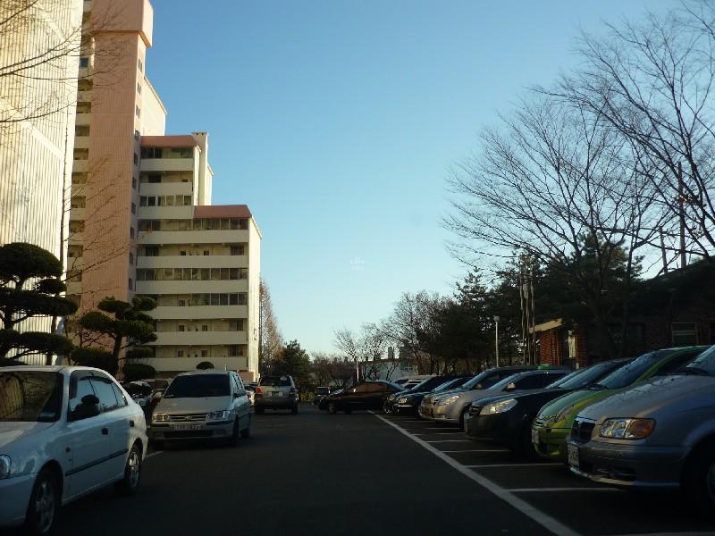 P1050354