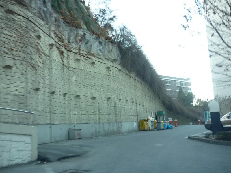 P1050526