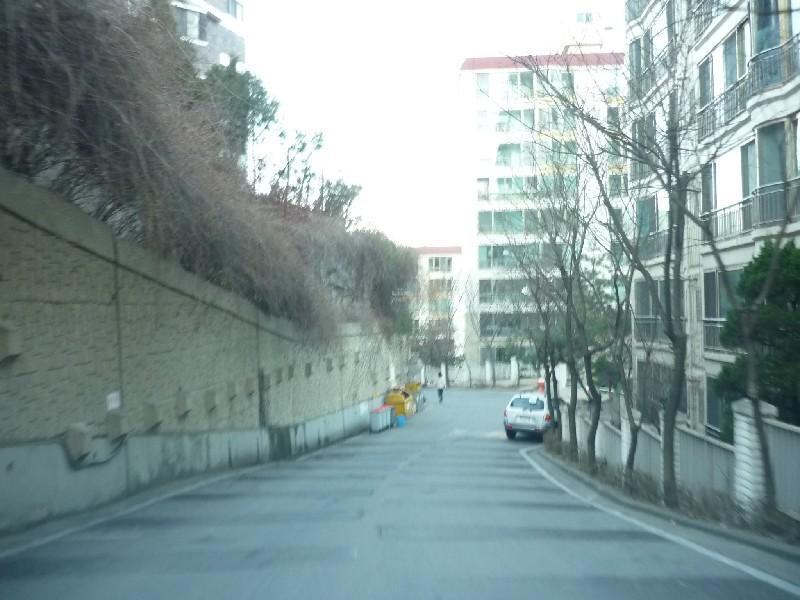P1050530