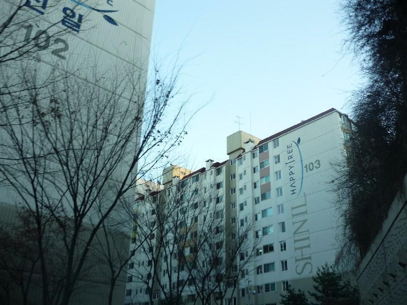 P1050517