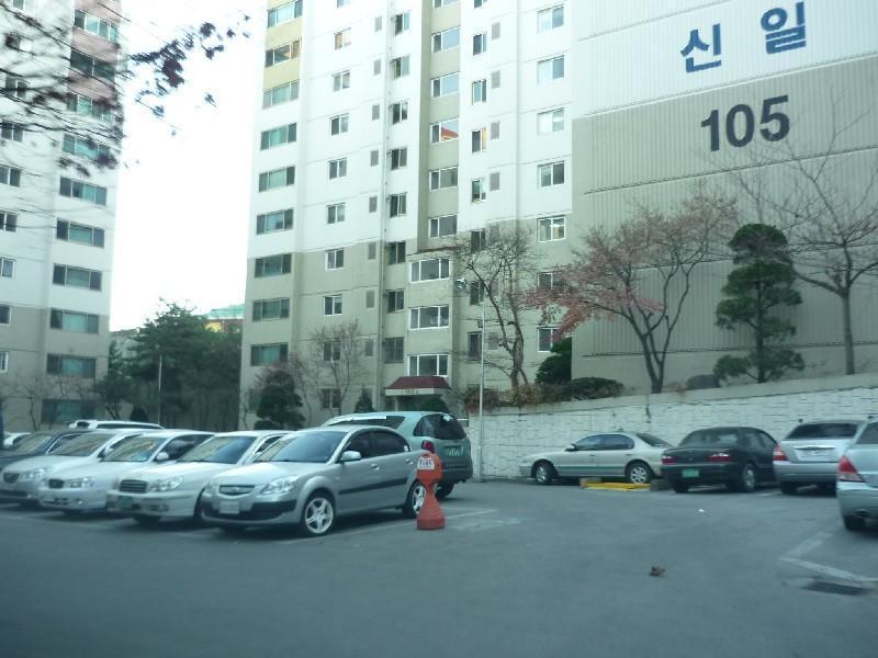 P1050523