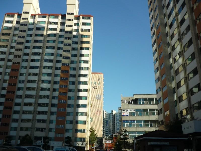 P1040943