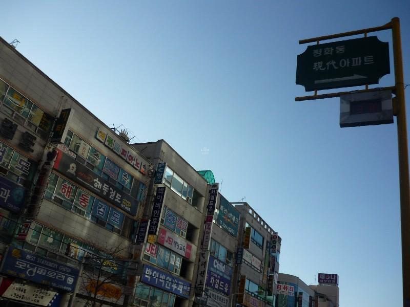 P1040966