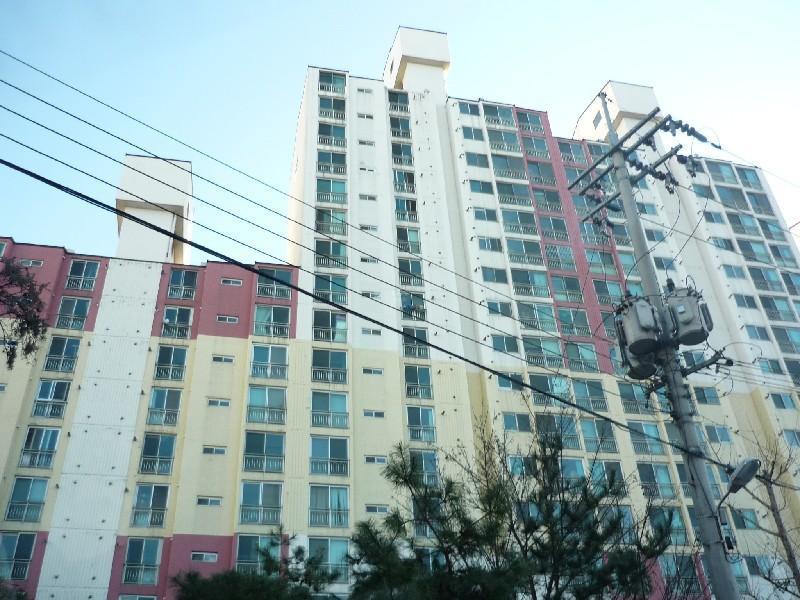 P1050096