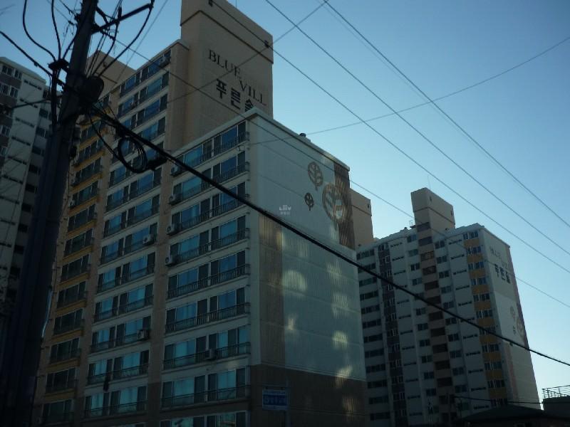 P1050099