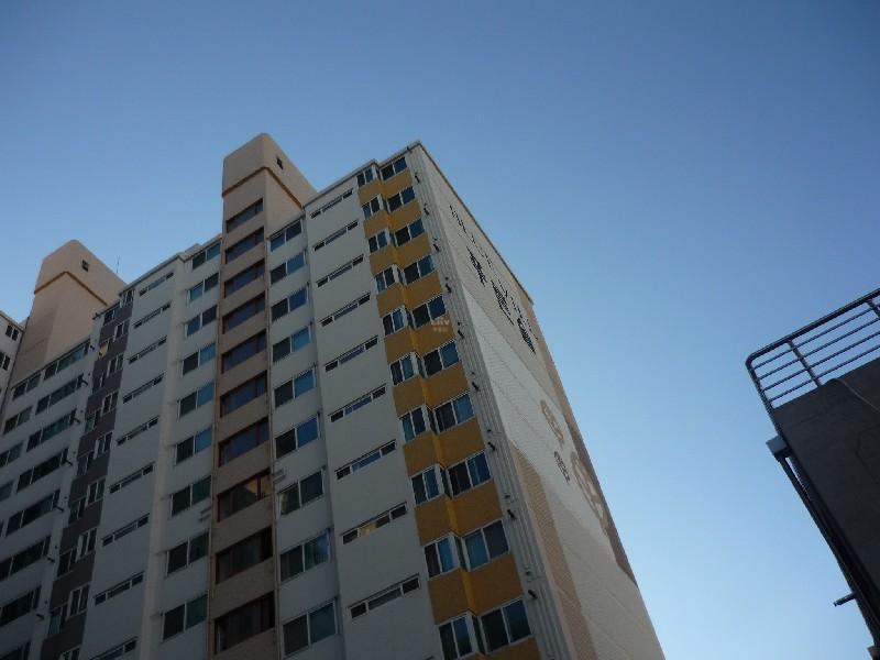 P1050102