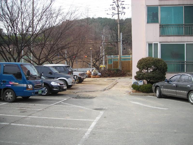 DSCN5981