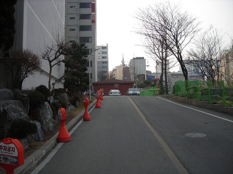 DSCN5655
