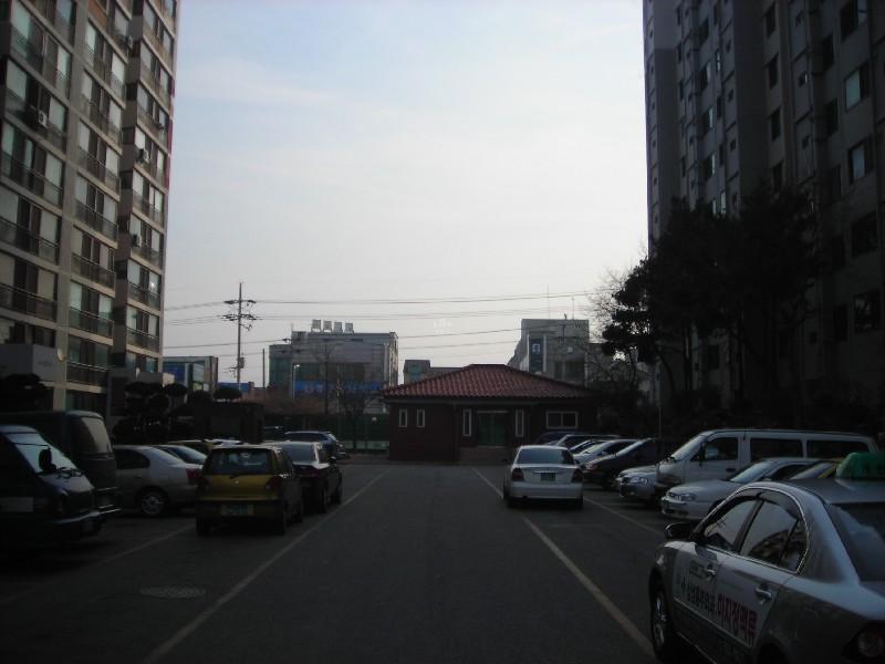 DSCN5653