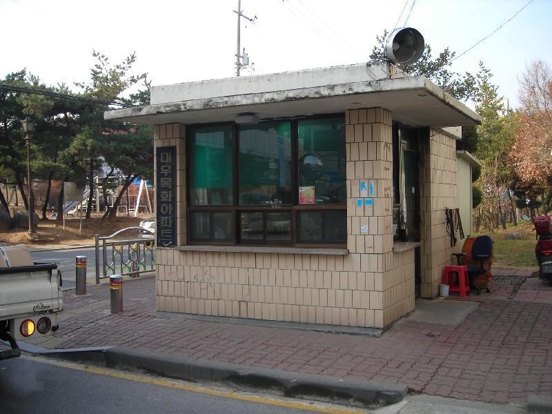 DSCN5782
