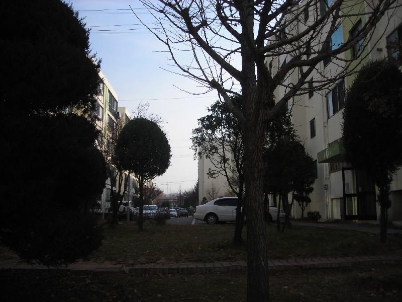 DSCN5775