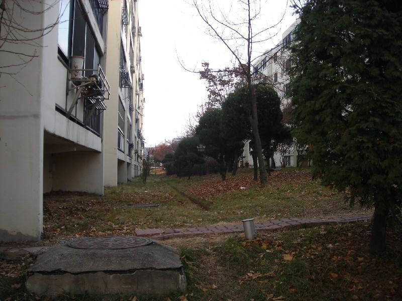DSCN5778