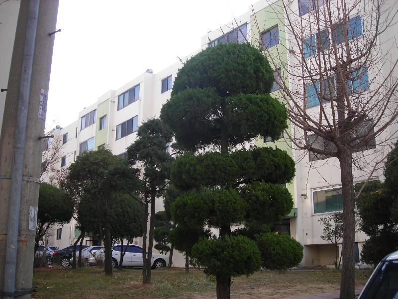 DSCN5773