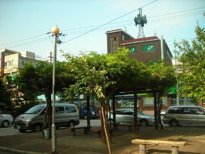 DSCN3610
