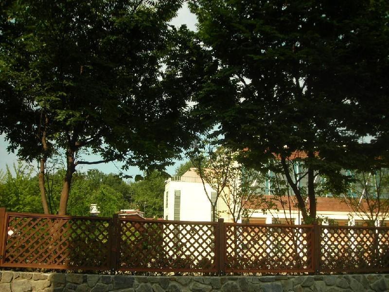 DSCN3634