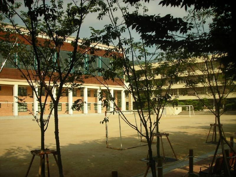 DSCN3637