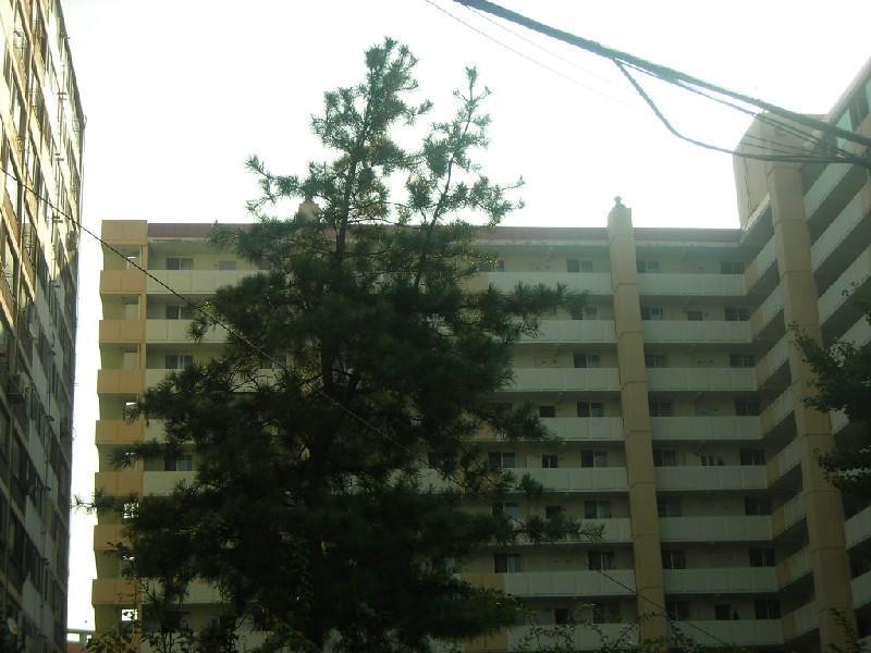 DSCN3589