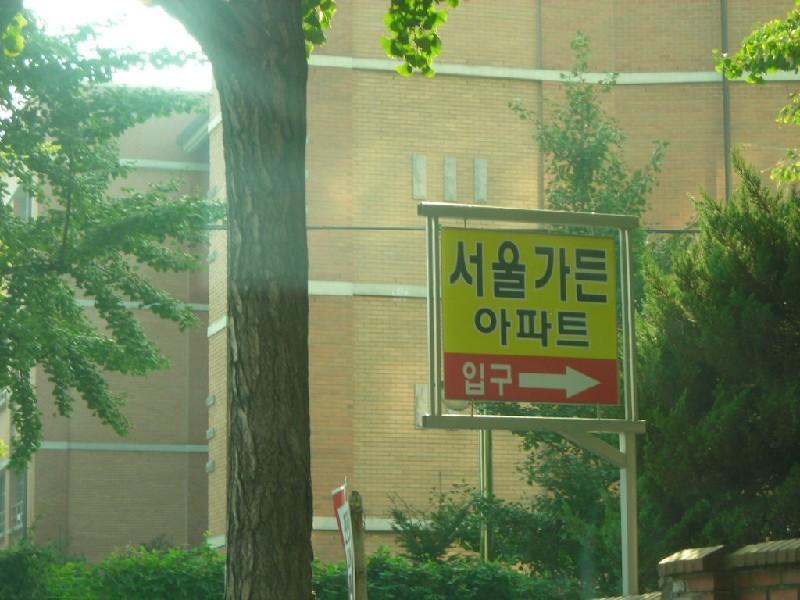 DSCN3594