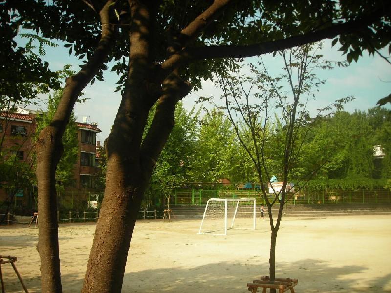 DSCN3638